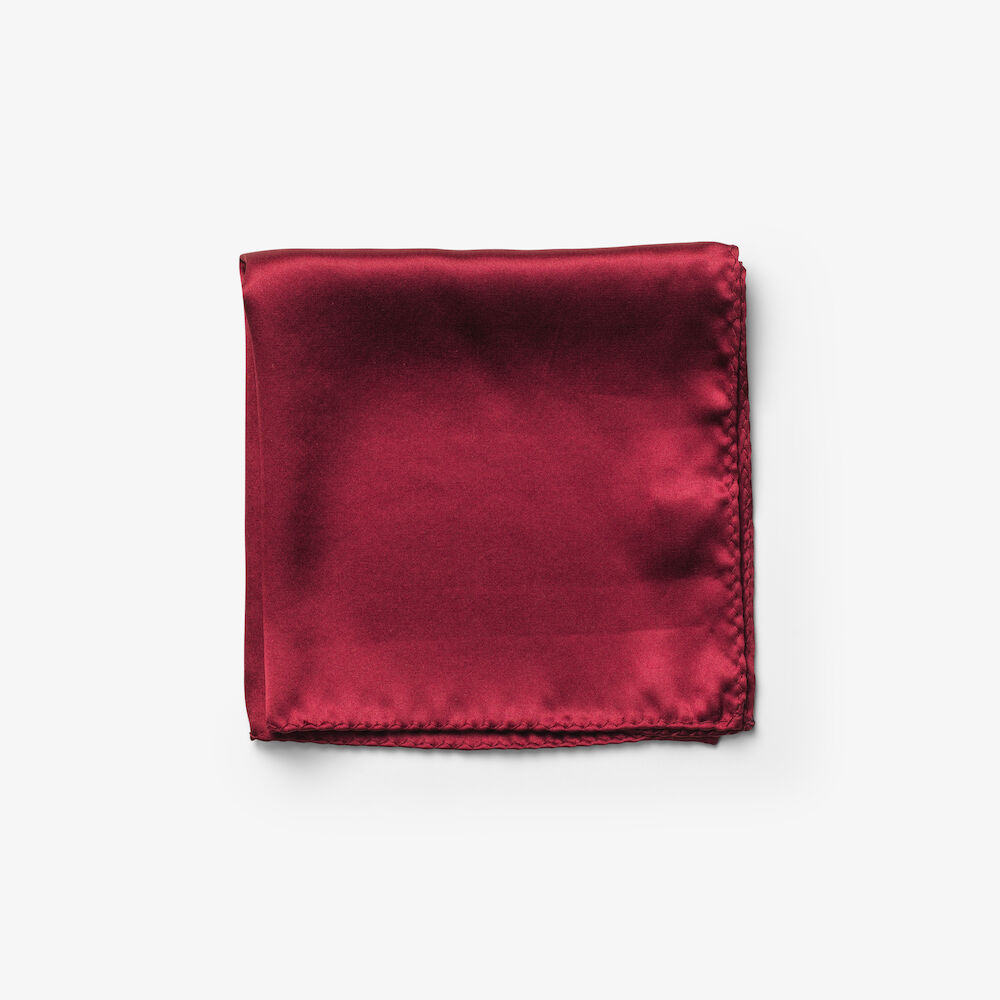 SOLID HANKIE &amp; LAPEL PIN