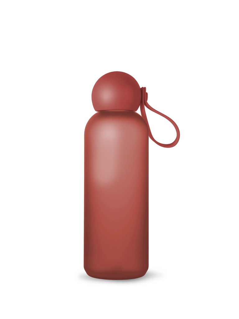 WATER BOTTLE TOM, BORDEAUX