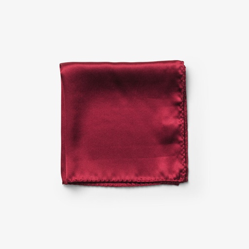 [2920500] SOLID HANKIE &amp; LAPEL PIN